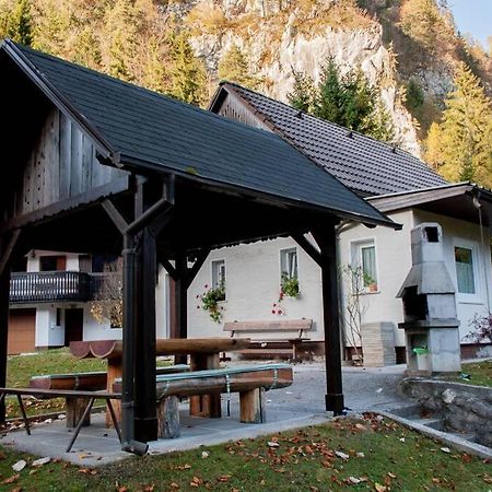 Rezidenca Mitja Villa Kranjska Gora Dış mekan fotoğraf