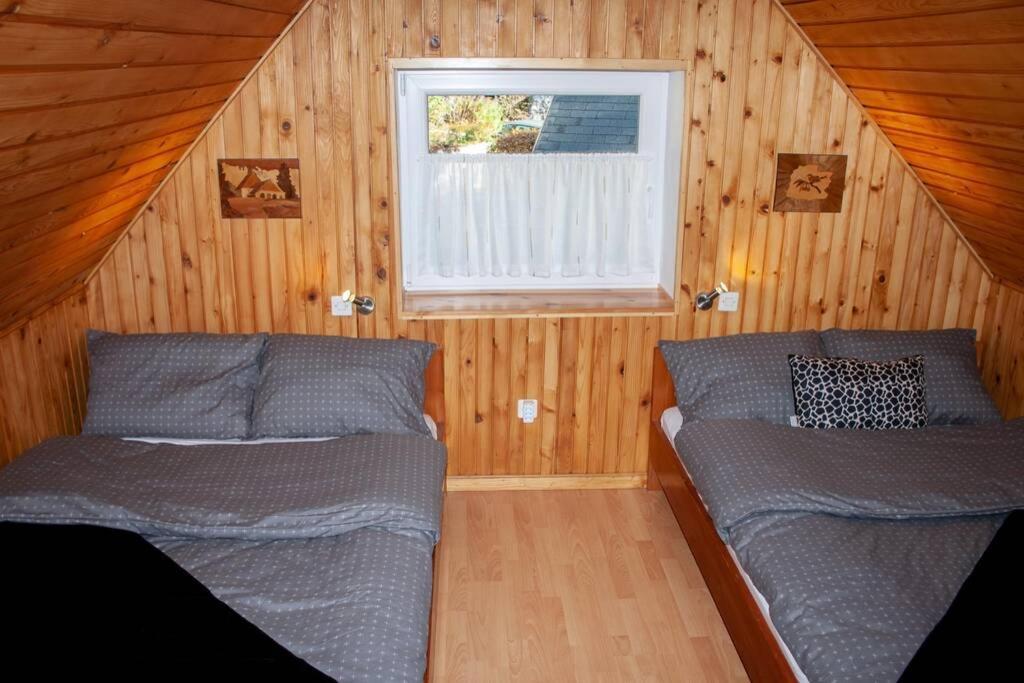 Rezidenca Mitja Villa Kranjska Gora Dış mekan fotoğraf
