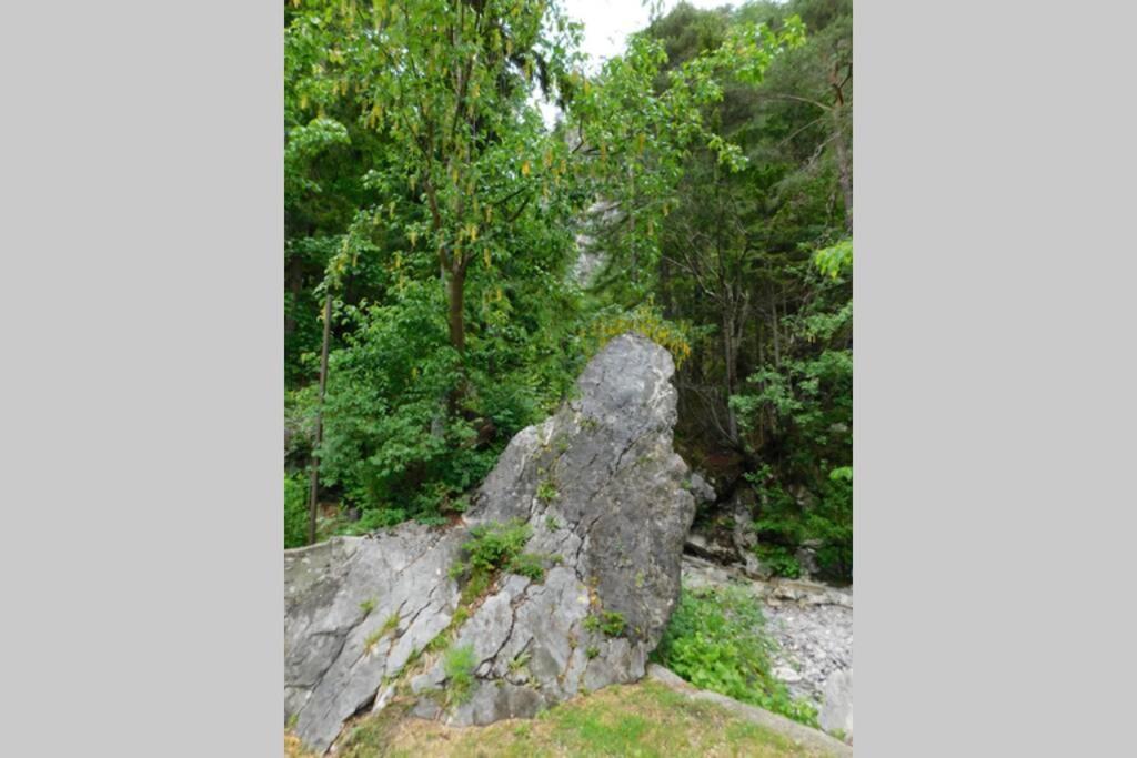 Rezidenca Mitja Villa Kranjska Gora Dış mekan fotoğraf