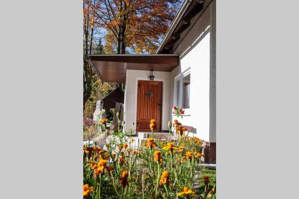 Rezidenca Mitja Villa Kranjska Gora Dış mekan fotoğraf